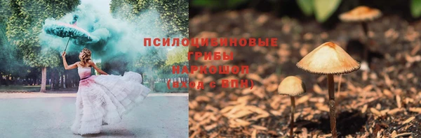 не бодяженный Михайлов