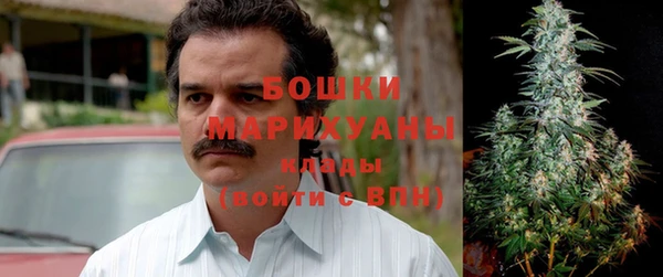 стафф Михайловск