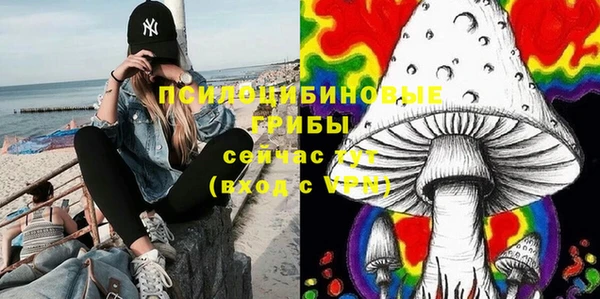 стафф Михайловск