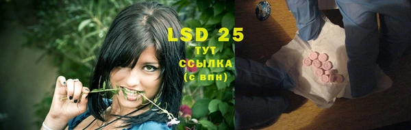 стафф Михайловск