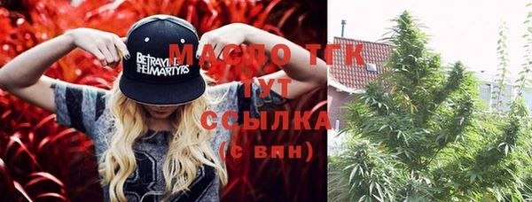 стафф Михайловск