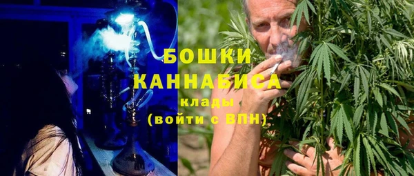 стафф Михайловск