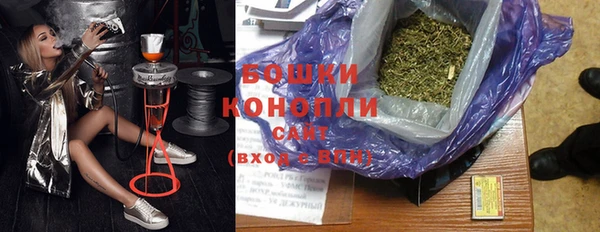 стафф Михайловск