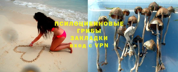 стафф Михайловск